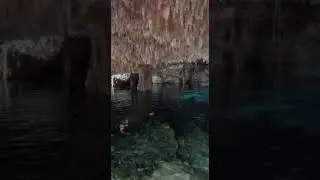 ZENOTES CANC&Uacute;N .EXICO🇨🇷❤🇲🇽