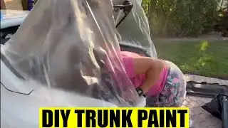 We Painted the Trunk and You Won't Believe the Result!