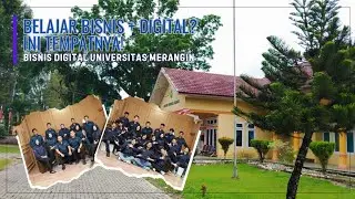 Belajar Bisnis Digital? Ini Tempatnya | Pengenalan Program Studi Bisnis Digital Universitas Merangin
