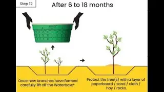 How to remove and reuse the Groasis Waterboxx plant cocoon and plant up to 20 trees with 1 Waterboxx