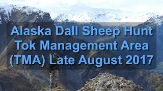 Alaska Dall Sheep Hunt in the Tok Management Area (TMA) Late August 2017