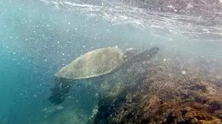 Mermaid Cave in Hawaii