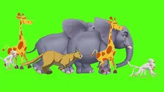 The Animal Parade on green screen | Animals stampede green screen | Let&rsquo;s protect wildlife together!