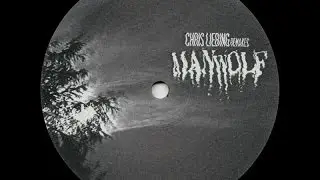 Henrik B - Manwolf ( Chris Liebing Rmx 1 )