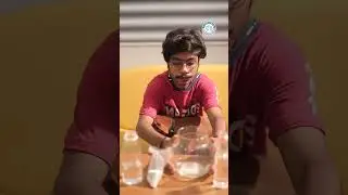 Homemade Doggie Odour! | Alangu Dog Farm