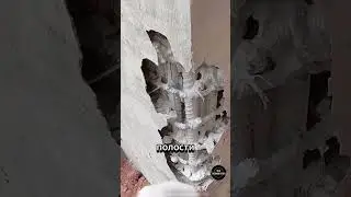 Зачем нужен бетонный вибратор? 🤯 #факты