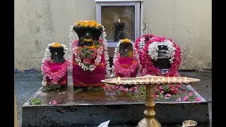 Ashlesha Nakshatra Pooja(Aayilyam)- 02/Feb/2026 - #Sarpa #rahu #ketu #temple #dosha #live #devi 