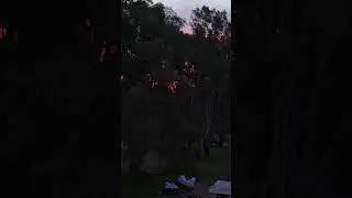 Sunset | red sky
