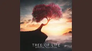 Spiritual Harmony