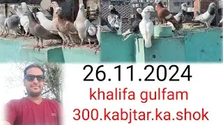 khalifa gulfam.300.kabutar ka shok cha-cha Maino.ki.chat.se.talim.ustad.zaid@DelhiLookingFarazali