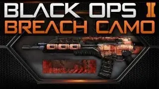 Black Ops 2 BREACH Camo on ALL Weapons - Breach Personalization Pack