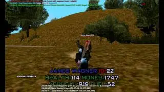 Virtual World Cheater