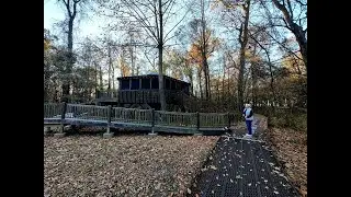 Big Oak Tree State Park, Missouri