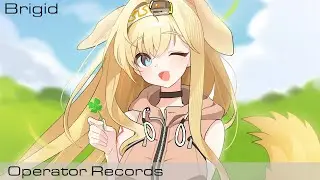 Arknights - Brigid Operator Records