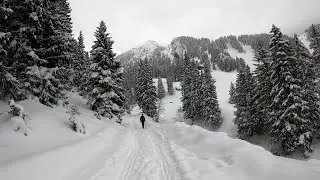 Geigelstein I Chiemgauer Alpen / Chiemgau Alps / Alpii Chiemgau