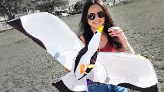 Amanda e sua Magnifica Pipa Gaivota (UNBOXING ) #Família Peçanha Oficial