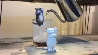 Gongdreen tea_cat