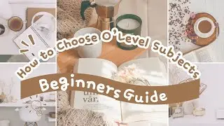 How to Choose O&rsquo;Level Subjects | Beginner&rsquo;s Guide