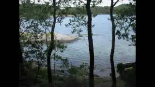Auklandshamn