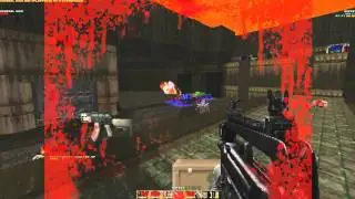 Real Guns Advanced: Modern Warfare 2 weapons mod for Skulltag/Zandronum