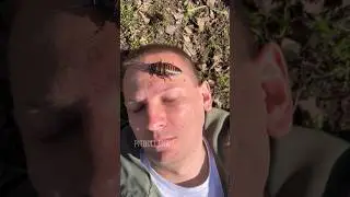 Мгновенная  карма 🤕 #питбульджина #funnydogs #cutedogs #comedy