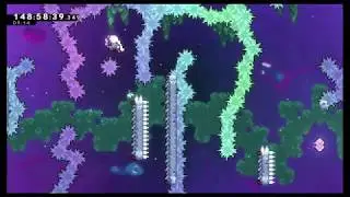 Celeste Chapter 9: Farewell - Speedrun in 26:35