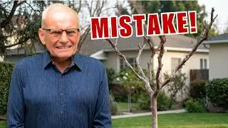Landscaping Mistakes That Will Cost You a LOT of Money!