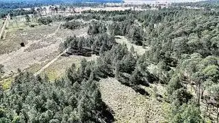 Fly high… #djiavata2 #drone #landscape #homescreen #focus 
