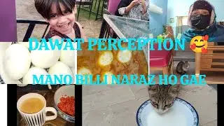 DAWAT preparation|| Mano Billi naraz ho Gai 🥺🥰