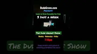 The Dude Grows Show - Cannabis Growing, News, & Culture