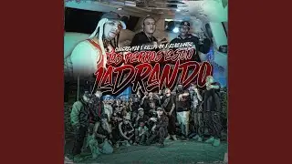 Los Perros Están Ladrando