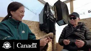 Surveillance du rat musqué dans un delta changeant  | Notes de terrain | Parcs Canada