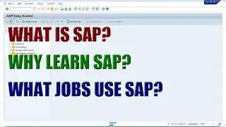 SAP Basics - Introduction to SAP