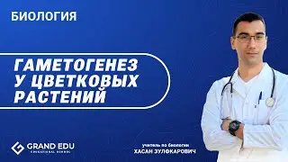 Гаметогенез у цветковых рaстений   #Биология