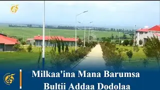Milkaa'ina Mana Barumsa Bultii Addaa Dodolaa