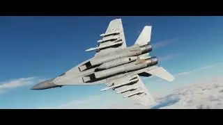 DCS 2025 and Beyond Rebel yell