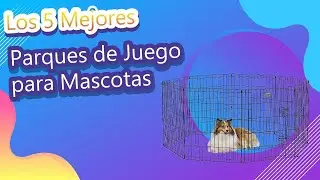 Los 5 Mejores Parques de Juego para Mascotas 2022