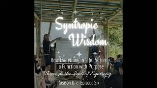 #Syntropy: 🌿🎤 How Everything in Life Performs a Function with Purpose✊🕊️