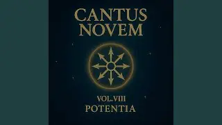 Anima Divisa