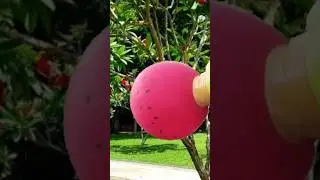 Diy Balloon Slingshot #shorts #funnycreations #ballon #Slingshot