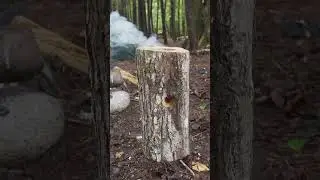 3 навыка выживания в дикой природе, которые вам следует знать!