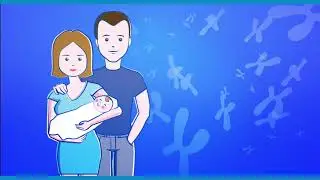 What's the PGD (PGT-M) test?