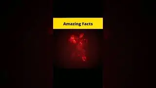Amazing Facts/ #facts #funny #pjfacts