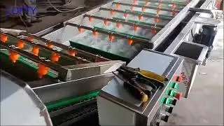 Carrot Cleaning Machine ----Fruit and Vegetable Washer  #restaurant #vegetable #fruit