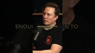 Elon Musk Warns About Population Collapse