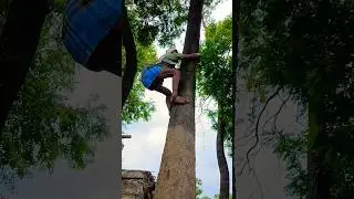 tari wali #village_#drink #tariwali