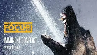 Focuri - Who Knows (Official)