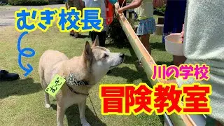 【むぎ校長の野外授業】人生の酸いも甘いも知り尽くしたむぎ校長と学ぶ🐕川の学校