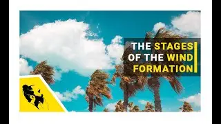 The Stages of the Wind Formation