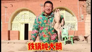 为了请人要账，小伙炖一道铁锅炖大鹅来犒劳，结果却是这样子要账